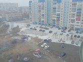 Погода. Обработка от клещей.