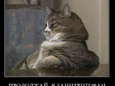Что вам хотелось бы сейчас услышать в свой адрес прямо сейчас?