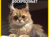 Как провели праздники?