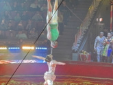 Цирк 🤡🎪