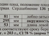 Вчера была на приёме