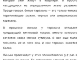 Чудо-таракан)))
