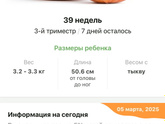 39 недель