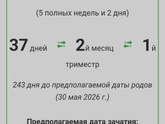Как считать срок беременности при эко