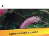 Поехала с мамой и подругой с ее мамой в театр