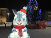 Главные ëлки разных городов.
