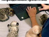 Какая работа больше всего выводит из равновесия?