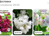 Заказала