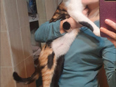 Наши котятки