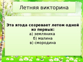 Летние викторины для маленьких детей - какие еще приходят на память?