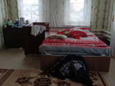 Хочу немного отвлечься ?