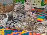 Сон для слабаков.