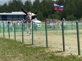 Сегодня ездили на фестиваль