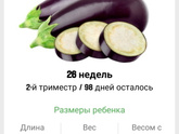 26 недель. 🍆🍆🍆