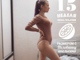 15 недель)