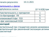 Интестибактериофаг
