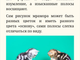 Что за порода?
