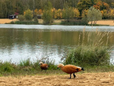 Переезд 2.