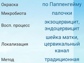 Девочки.
