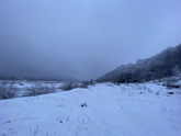 ❄️