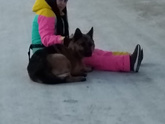 Вопрос совсем не по