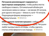 Рыбка петушок
