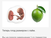Первый скрининг!