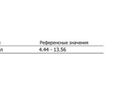 Первое планирование