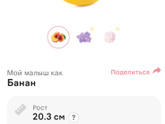 17 недель В конце
