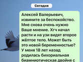 Удивительная беременность