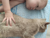 Мне не хватало котейки!!!