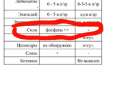 Сдала мочу сегодня.