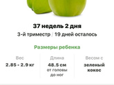 37 неделек