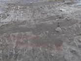 Погуляли❄️