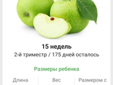 15 недель. 🍏🍏🍏