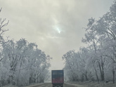 Внезапно зима ❄️