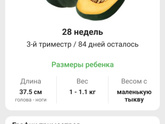 Смотрела фото животиков по