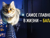 Что самое главное для вас в жизни?