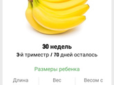 30 недель!!! 🍌🍌🍌