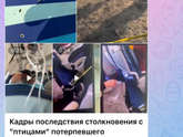 Чего не спим?