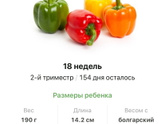 18 недель Прибавка