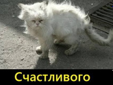 Хорошего дня