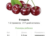9 недель .