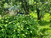Застывшее мгновение