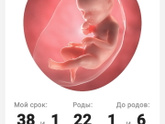 СЕГОДНЯ 37 НЕДЕЛЬ