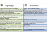 Норовирус сколько дней