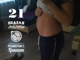 21 неделька.