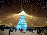 Городская елка