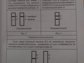 Результат экспресс тест на ковид. Помогите решить ребус (