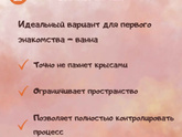 Крысы